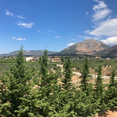 Enchanting Mycenae - Your Greek Holiday Retreat Аргос Экстерьер фото