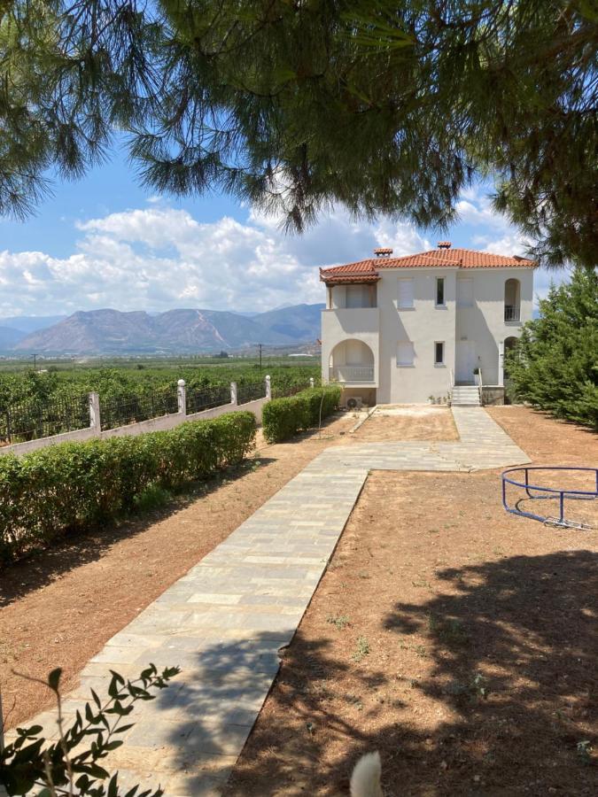 Enchanting Mycenae - Your Greek Holiday Retreat Аргос Экстерьер фото
