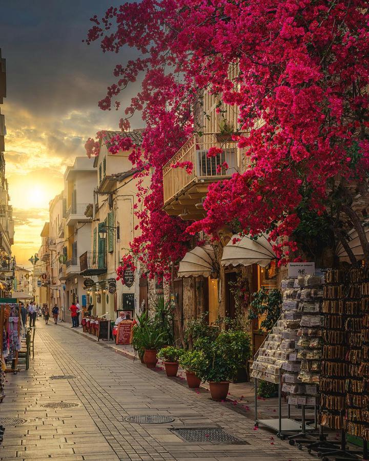 Enchanting Mycenae - Your Greek Holiday Retreat Аргос Экстерьер фото
