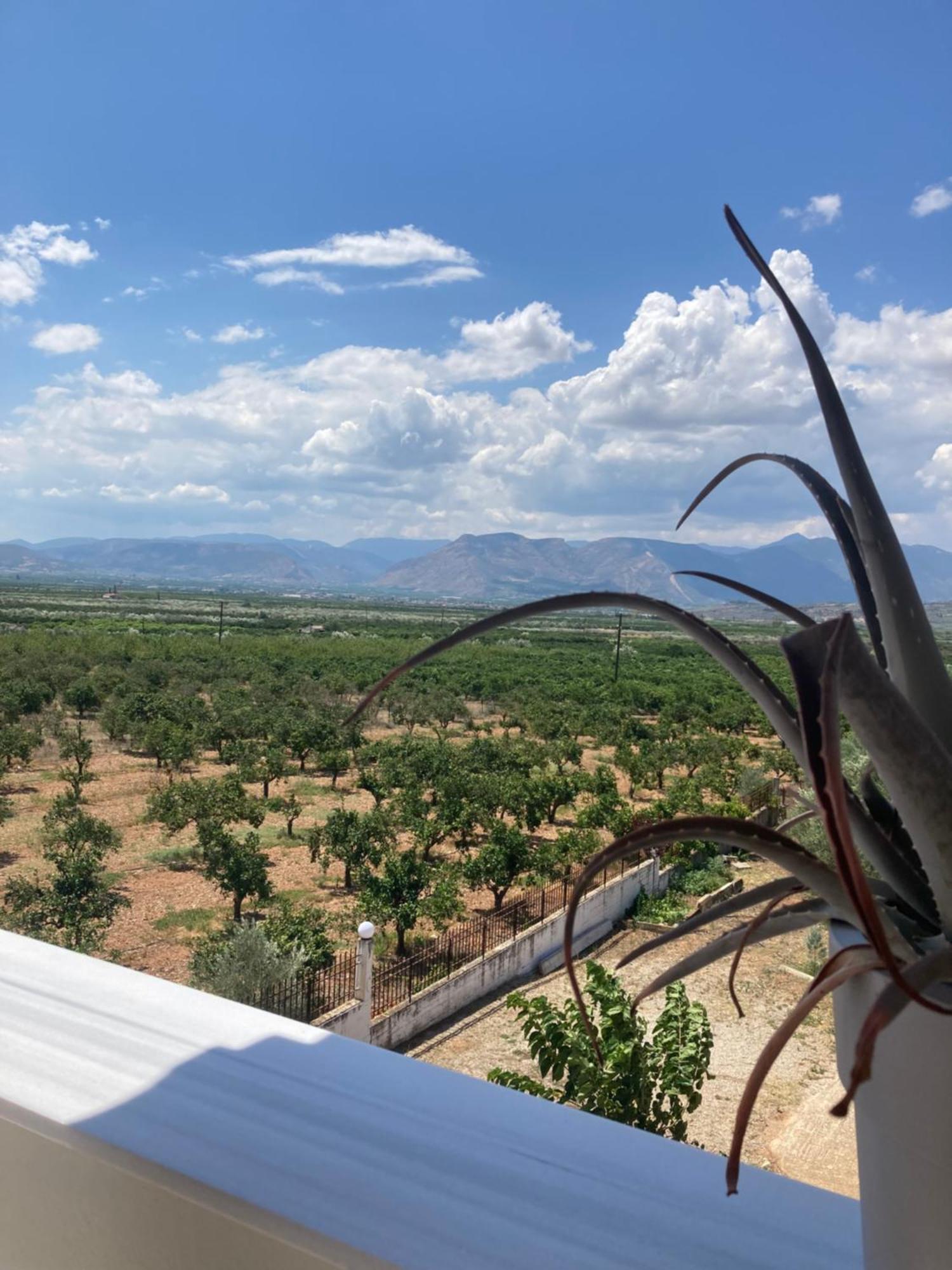 Enchanting Mycenae - Your Greek Holiday Retreat Аргос Экстерьер фото